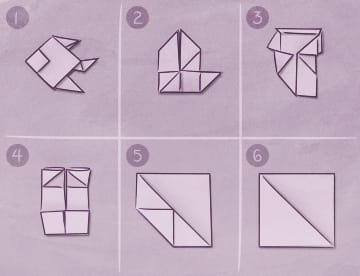 Decorative Illustration