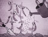 Hc blog Main Article Illustration v132 DP