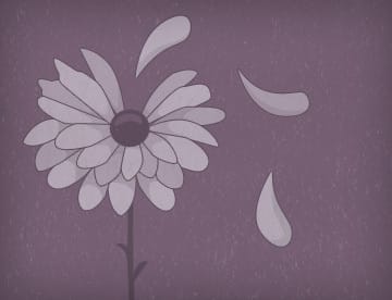 Decorative Illustration